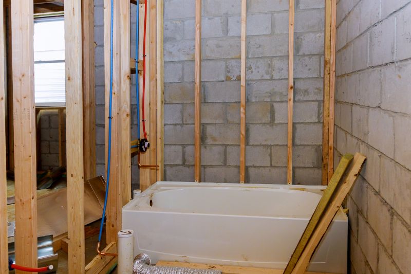 Basement Bathroom Renovation